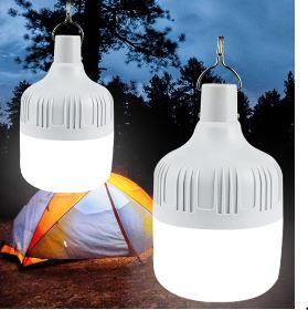 Foco LED Recargable CS0287